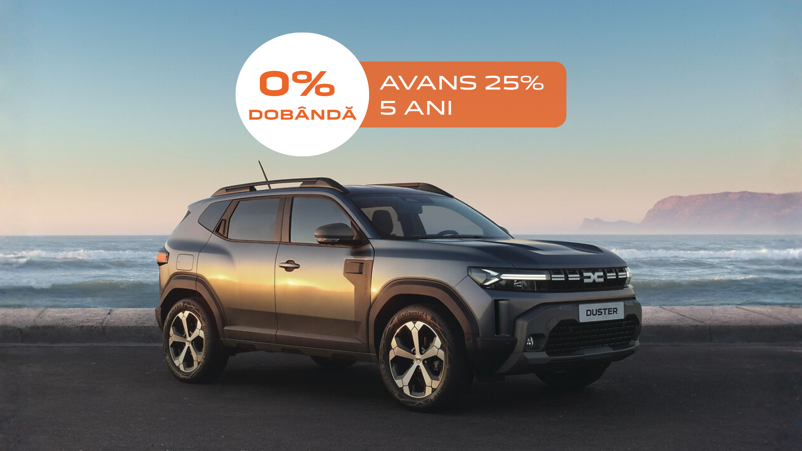Duster-pentru-afacerea-ta Duster